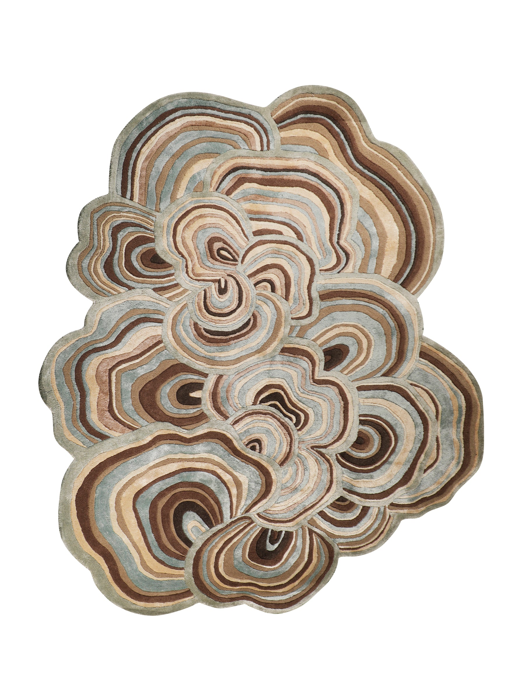 The Shaped Collection 21