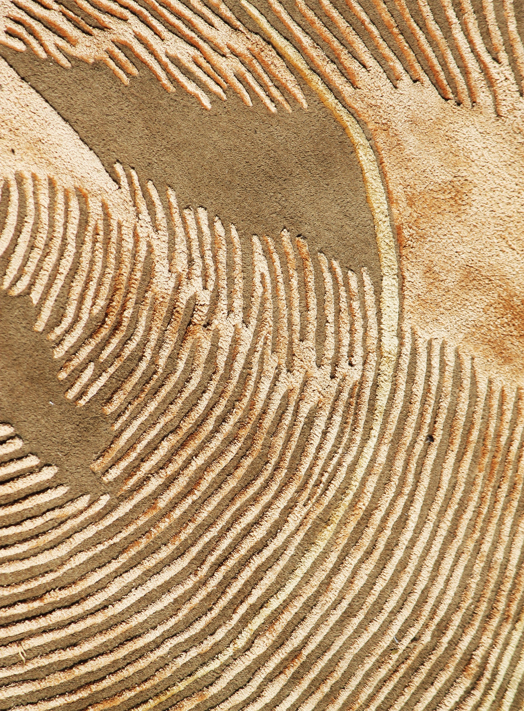 Classic Mix Bag Amoeba