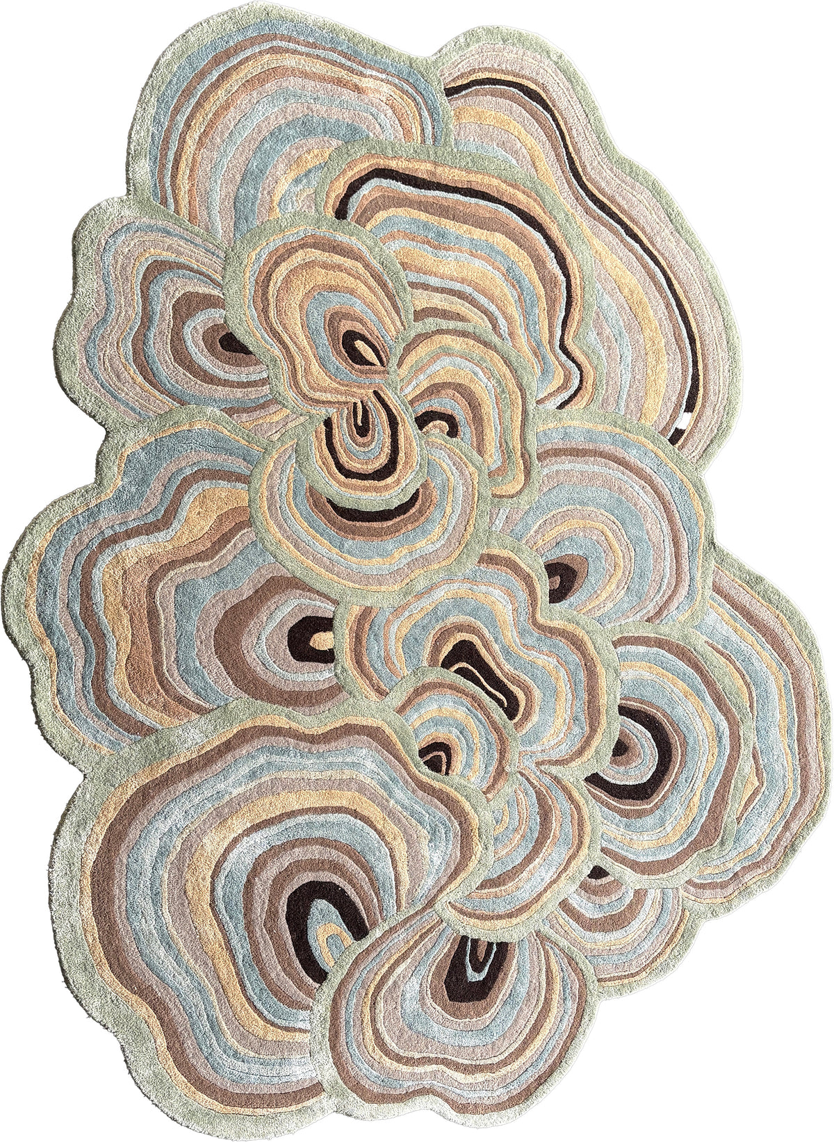 The Shaped Collection 28