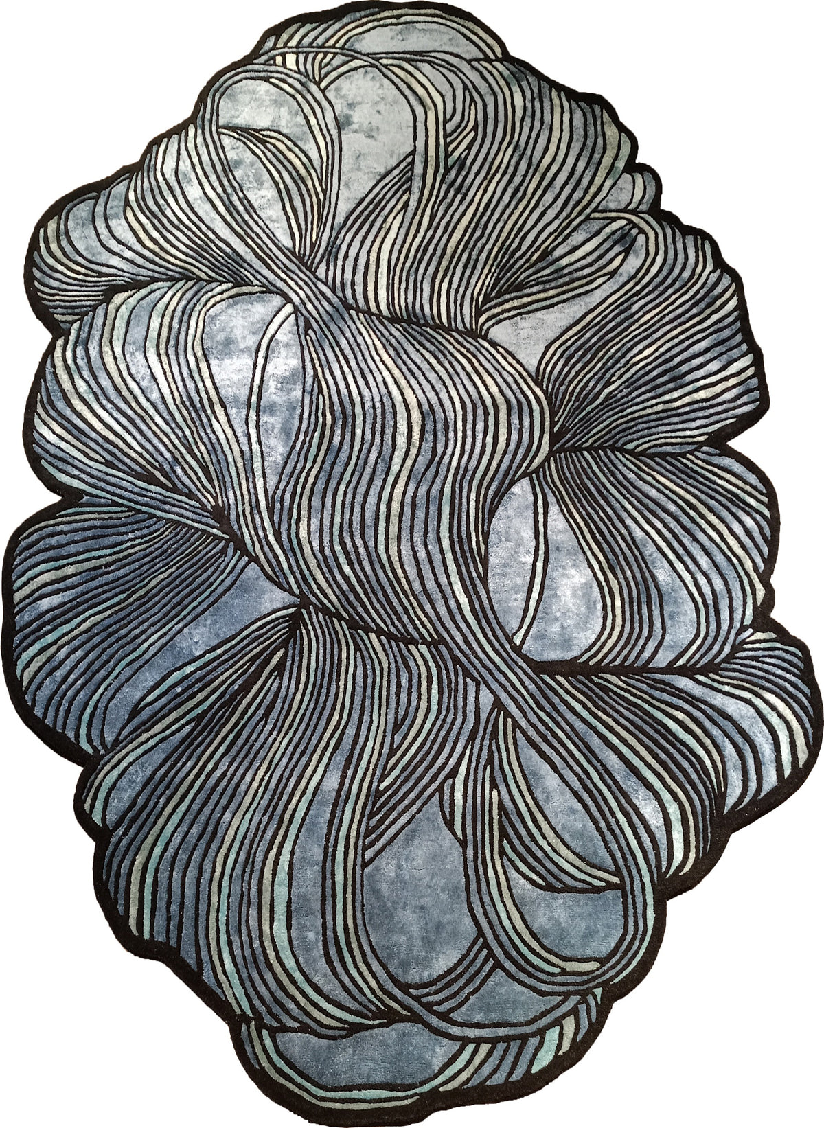 The Shaped Collection 25