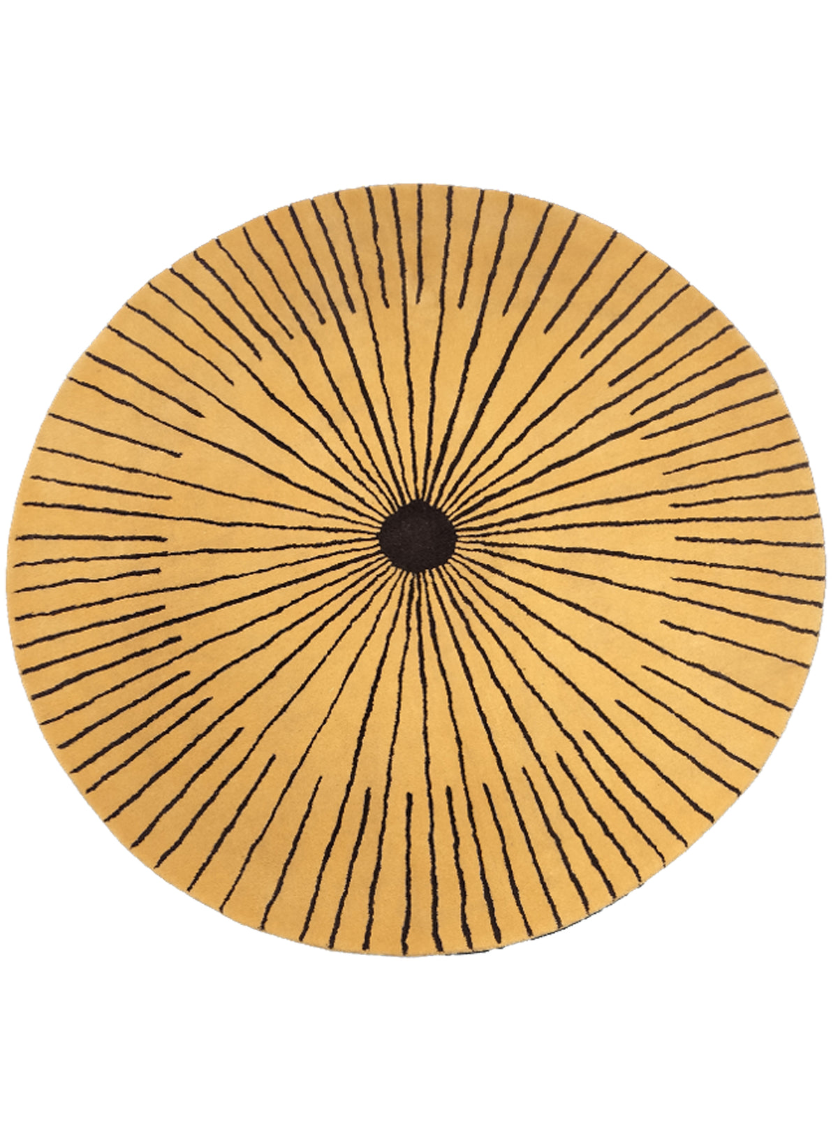 The Round Collection 24