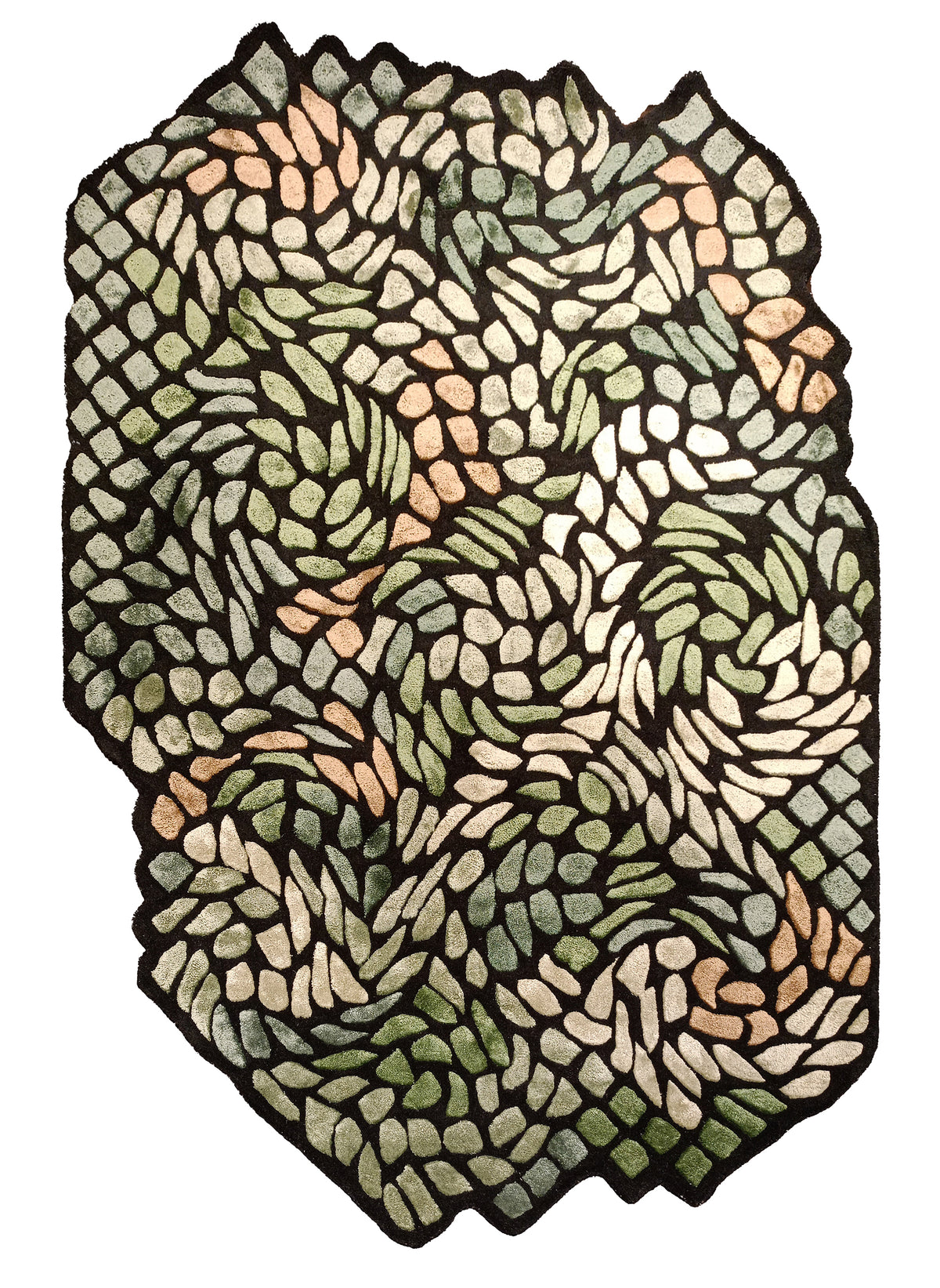 The Shaped Collection 17