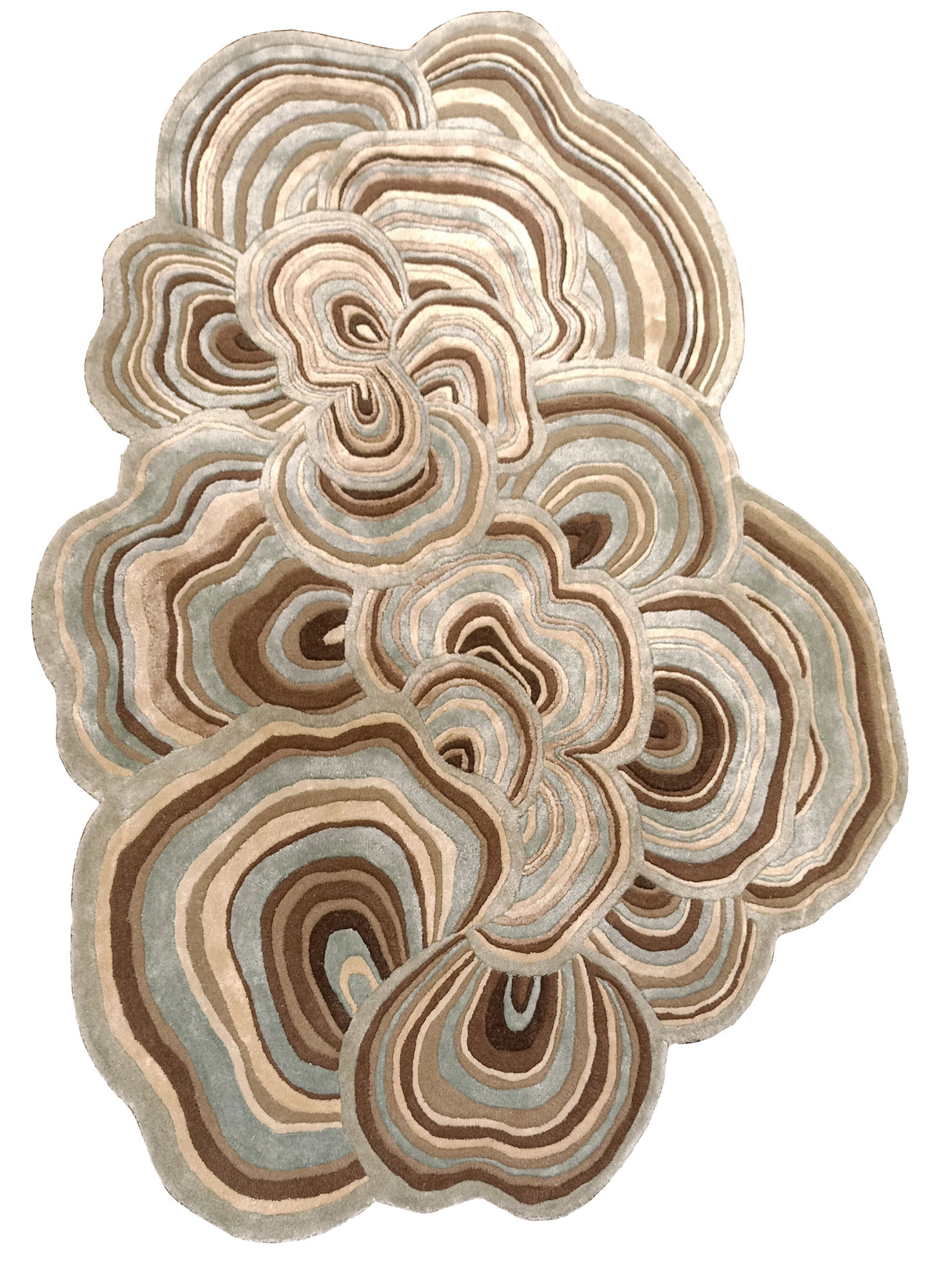 The Shaped Collection 21