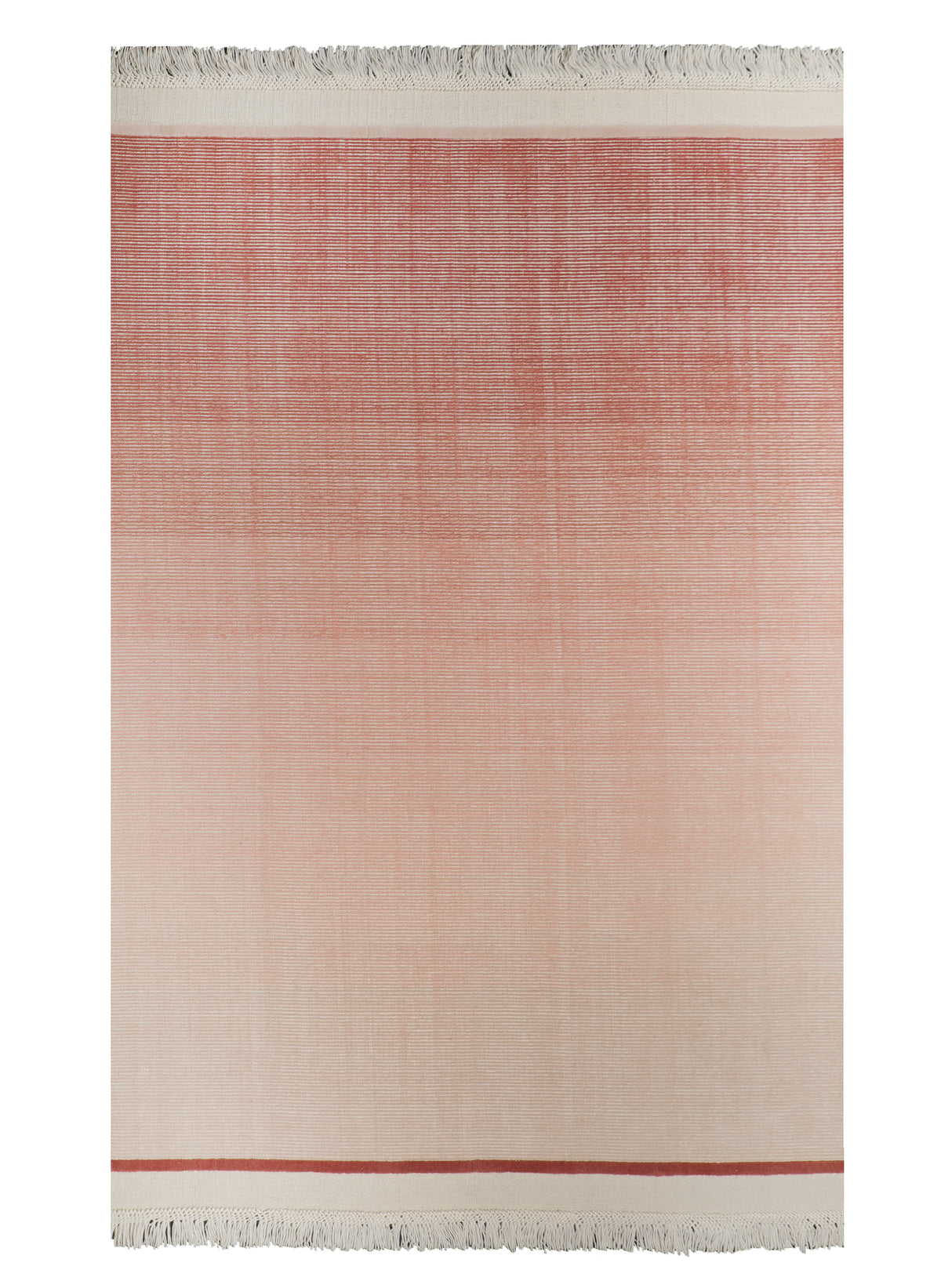 The Opulence Collection 55