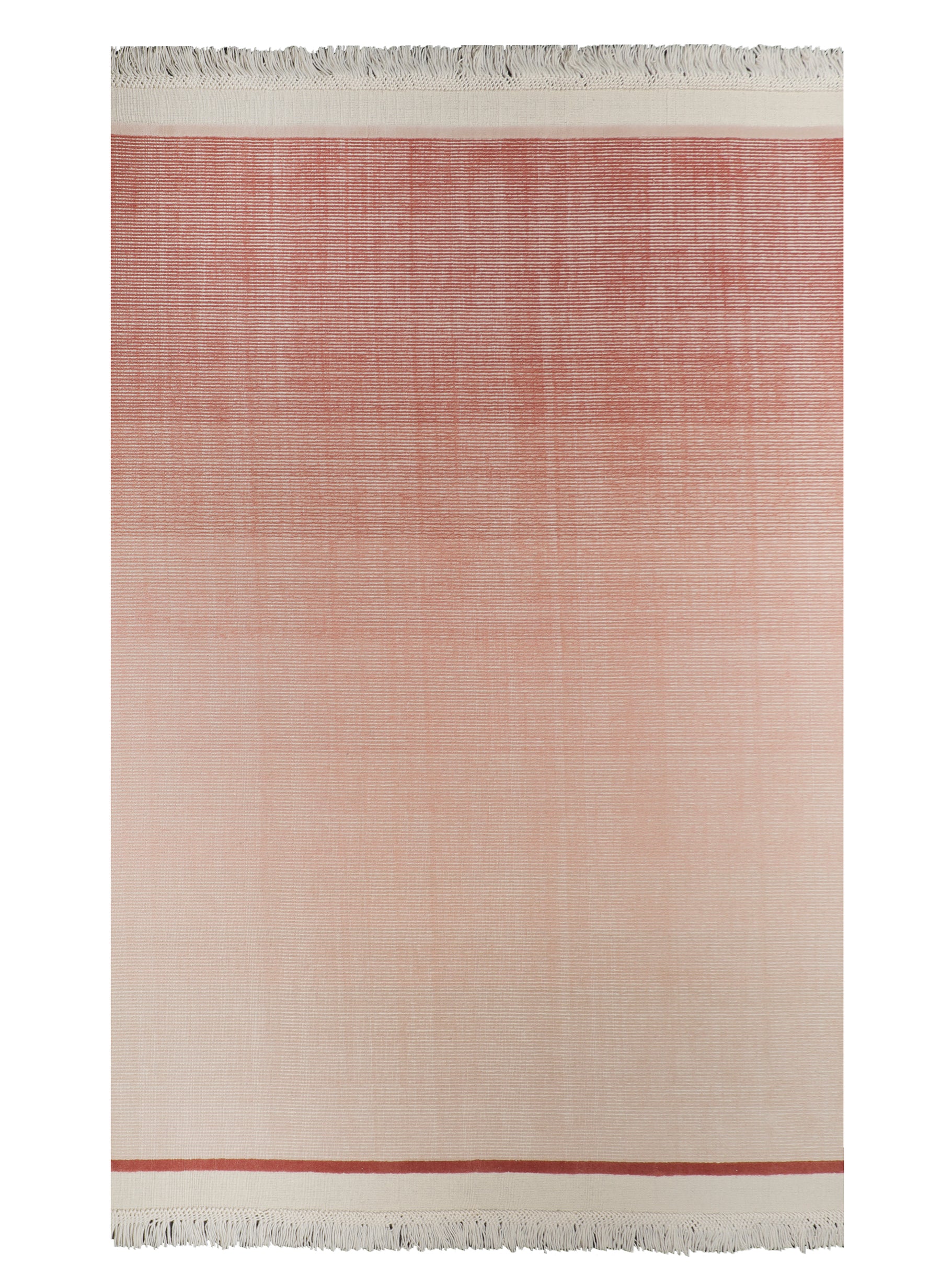 The Opulence Collection 55