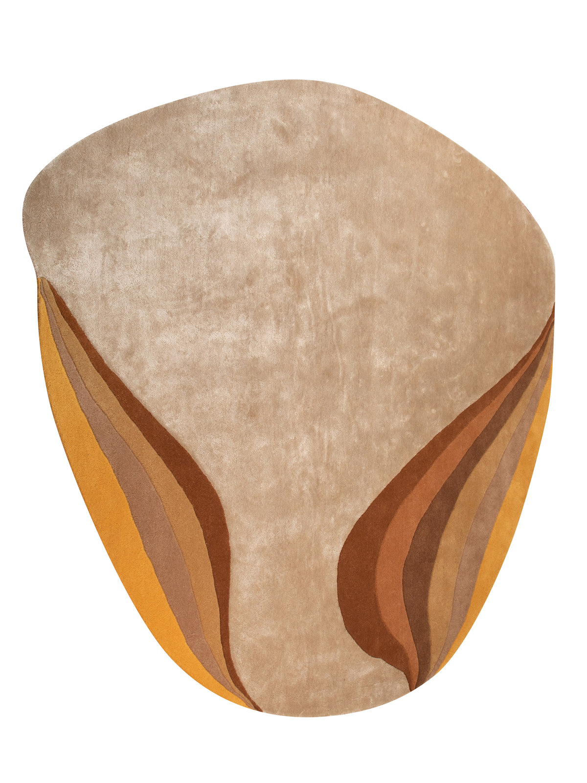 The Shaped Collection 11