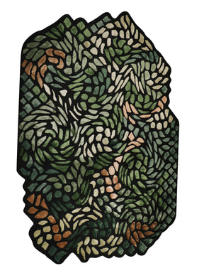 The Shaped Collection 17
